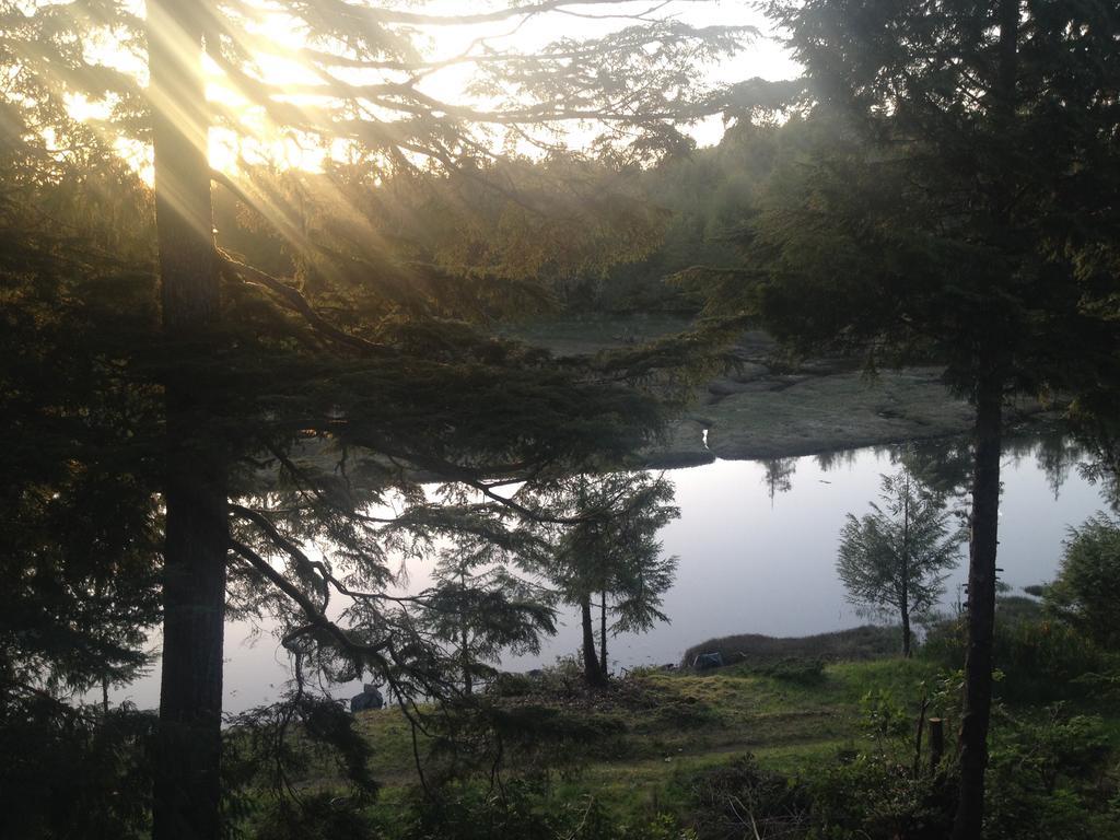 Hyphocus Inn Ucluelet Pokoj fotografie